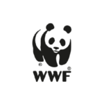 WFF Logo-02